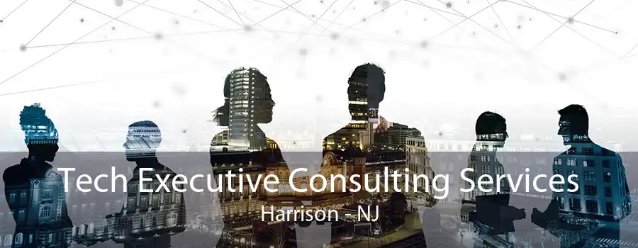 Tech Executive Consulting Services Harrison - NJ