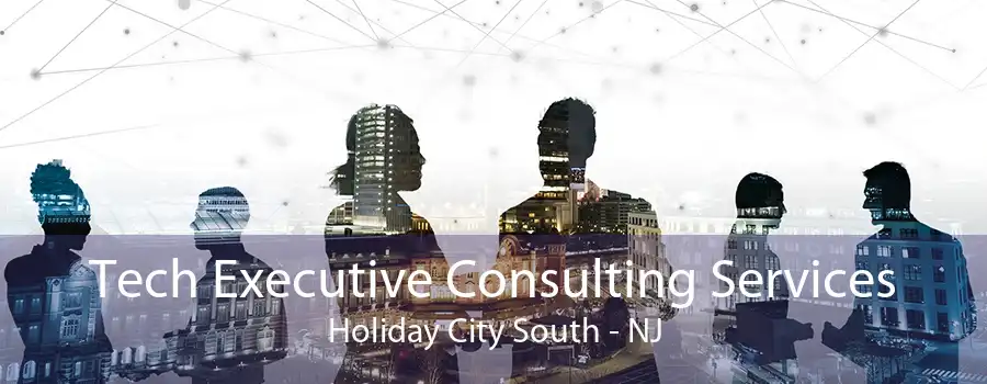 Tech Executive Consulting Services Holiday City South - NJ