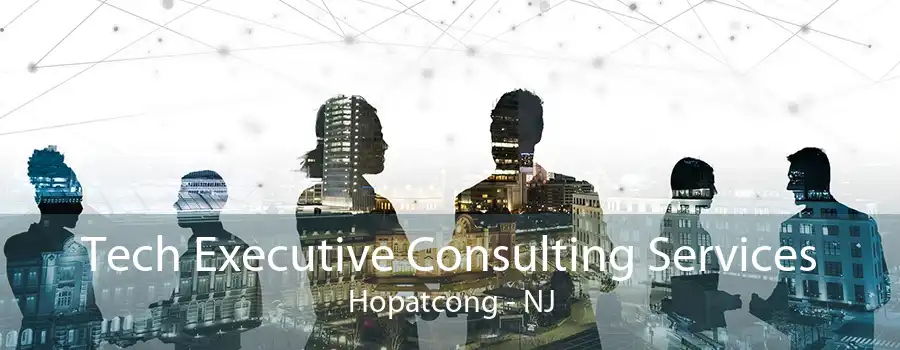 Tech Executive Consulting Services Hopatcong - NJ