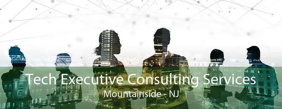Tech Executive Consulting Services Mountainside - NJ
