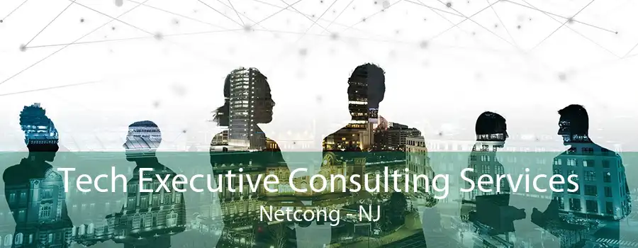 Tech Executive Consulting Services Netcong - NJ