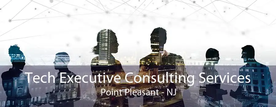 Tech Executive Consulting Services Point Pleasant - NJ