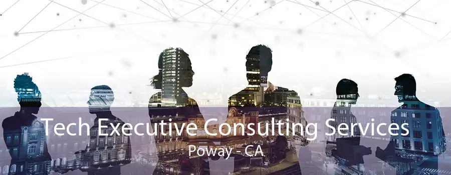 Tech Executive Consulting Services Poway - CA