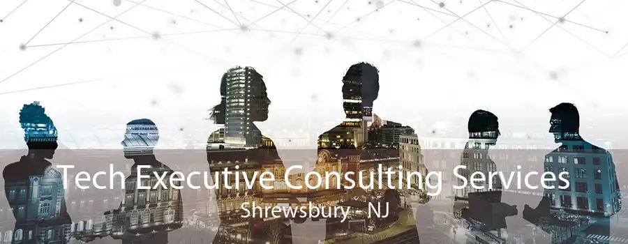 Tech Executive Consulting Services Shrewsbury - NJ