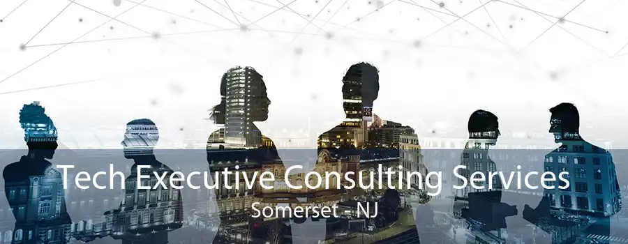 Tech Executive Consulting Services Somerset - NJ