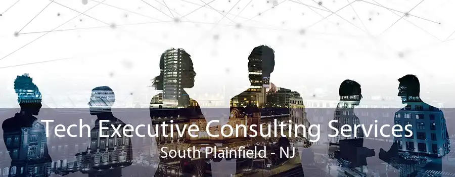 Tech Executive Consulting Services South Plainfield - NJ