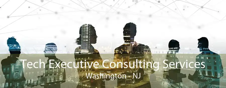 Tech Executive Consulting Services Washington - NJ
