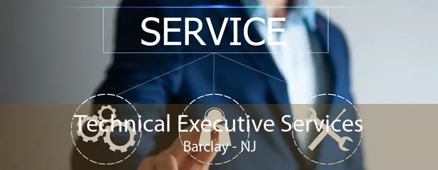 Technical Executive Services Barclay - NJ