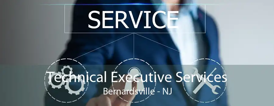 Technical Executive Services Bernardsville - NJ