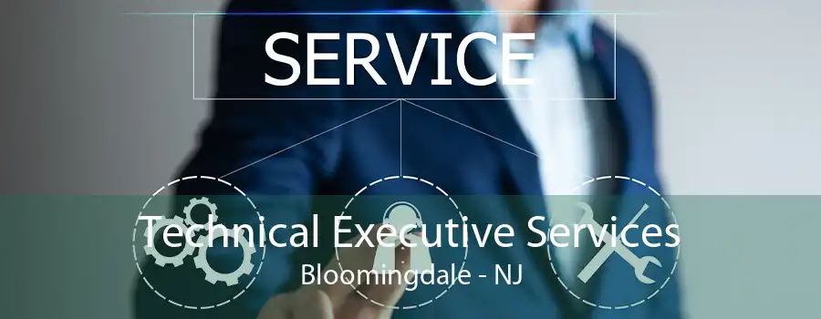 Technical Executive Services Bloomingdale - NJ