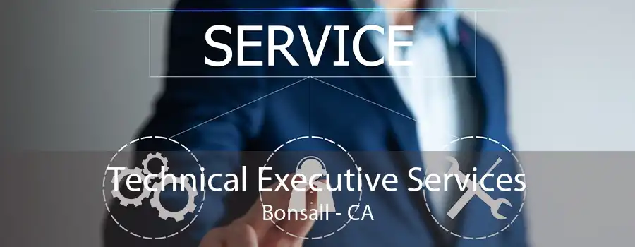 Technical Executive Services Bonsall - CA