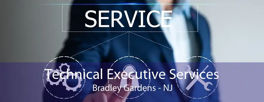 Technical Executive Services Bradley Gardens - NJ