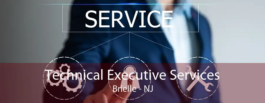 Technical Executive Services Brielle - NJ