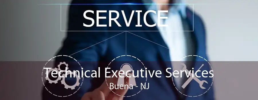 Technical Executive Services Buena - NJ