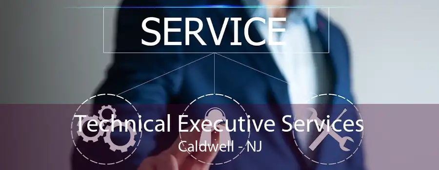 Technical Executive Services Caldwell - NJ