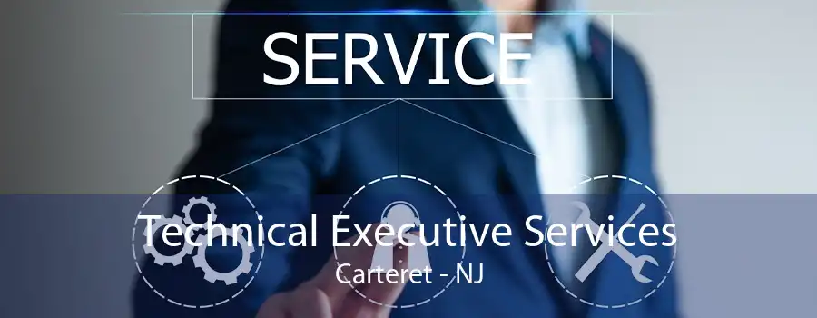 Technical Executive Services Carteret - NJ