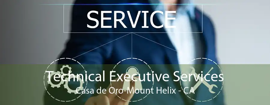 Technical Executive Services Casa de Oro-Mount Helix - CA