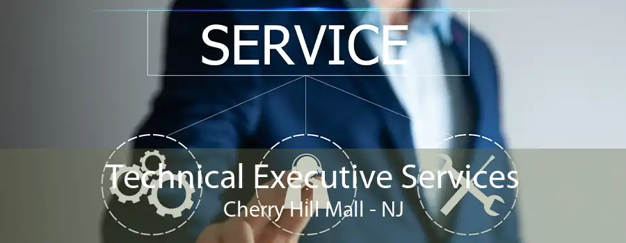 Technical Executive Services Cherry Hill Mall - NJ