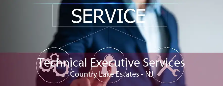 Technical Executive Services Country Lake Estates - NJ