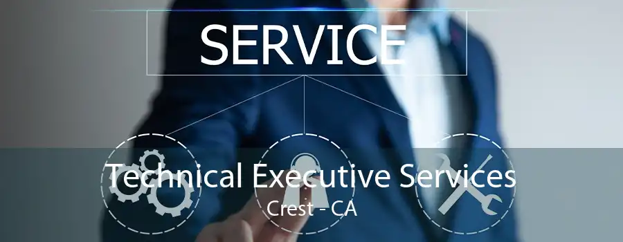 Technical Executive Services Crest - CA