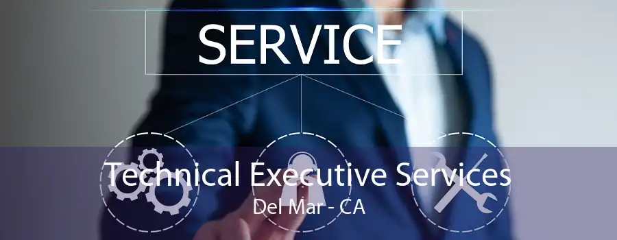 Technical Executive Services Del Mar - CA