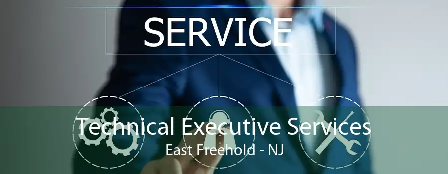 Technical Executive Services East Freehold - NJ