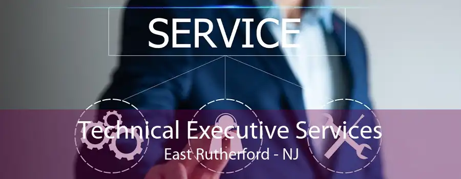 Technical Executive Services East Rutherford - NJ