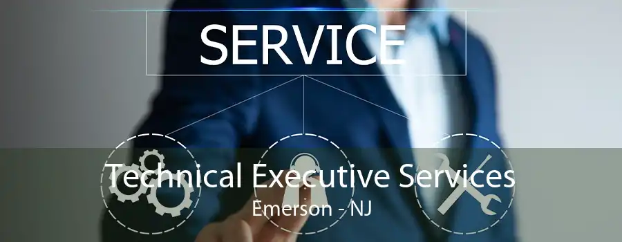 Technical Executive Services Emerson - NJ