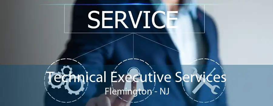 Technical Executive Services Flemington - NJ