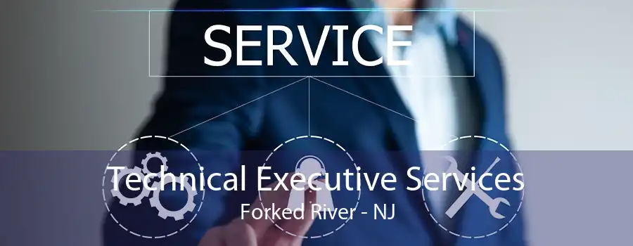 Technical Executive Services Forked River - NJ