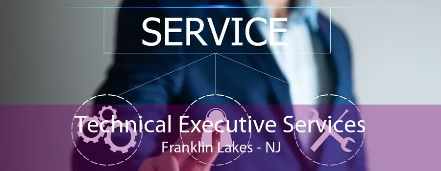 Technical Executive Services Franklin Lakes - NJ
