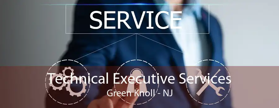 Technical Executive Services Green Knoll - NJ