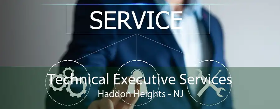 Technical Executive Services Haddon Heights - NJ