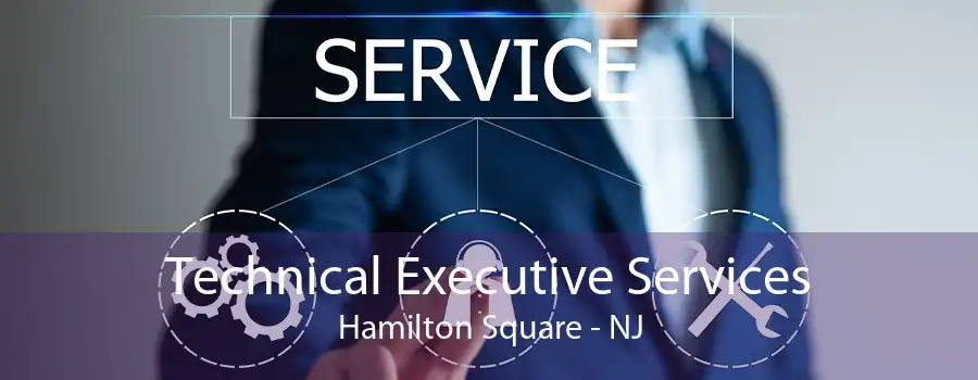 Technical Executive Services Hamilton Square - NJ