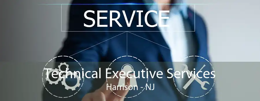 Technical Executive Services Harrison - NJ