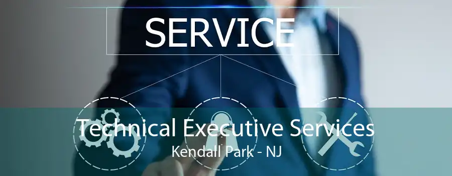 Technical Executive Services Kendall Park - NJ