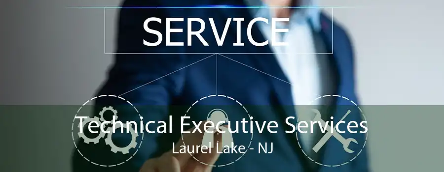 Technical Executive Services Laurel Lake - NJ