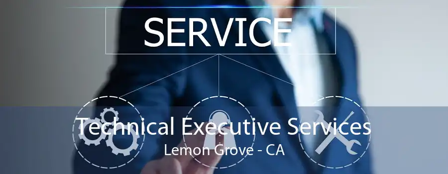 Technical Executive Services Lemon Grove - CA