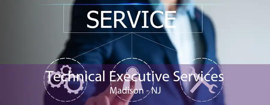 Technical Executive Services Madison - NJ