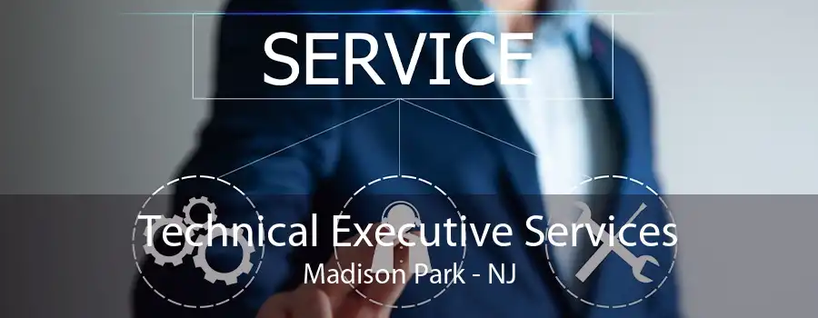 Technical Executive Services Madison Park - NJ