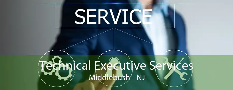 Technical Executive Services Middlebush - NJ