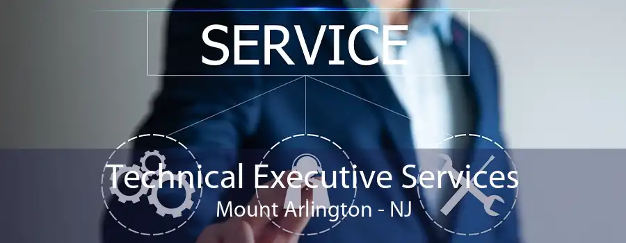 Technical Executive Services Mount Arlington - NJ