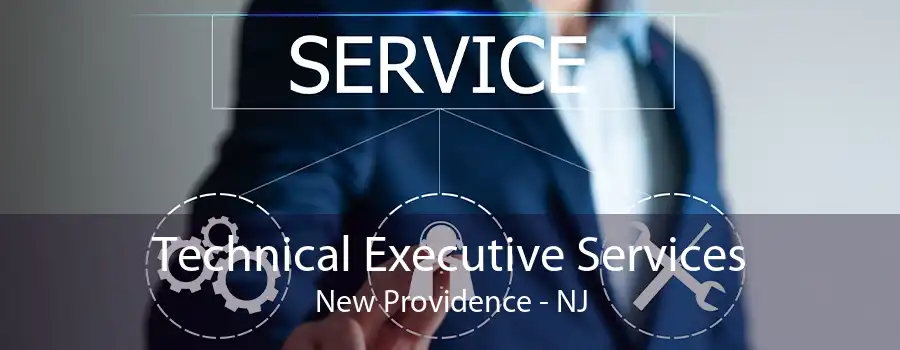 Technical Executive Services New Providence - NJ