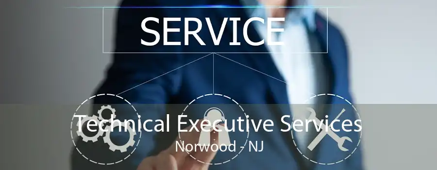 Technical Executive Services Norwood - NJ