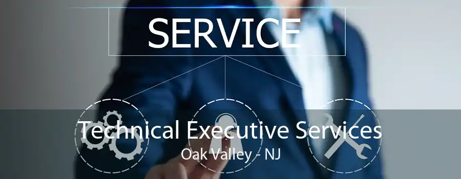 Technical Executive Services Oak Valley - NJ