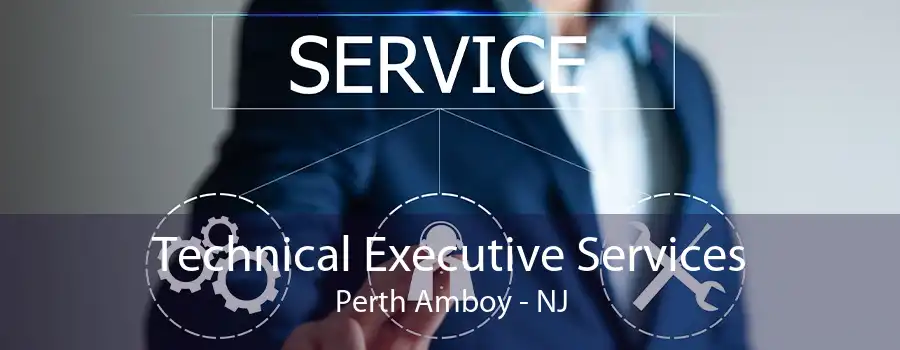 Technical Executive Services Perth Amboy - NJ