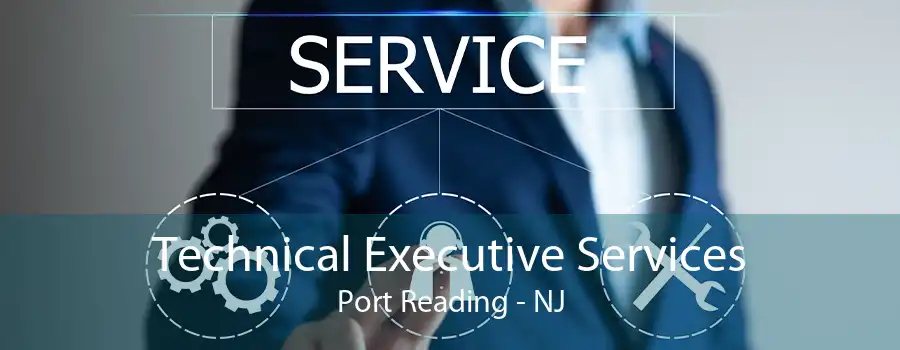Technical Executive Services Port Reading - NJ