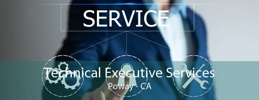 Technical Executive Services Poway - CA