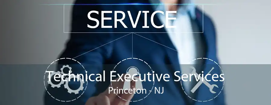 Technical Executive Services Princeton - NJ