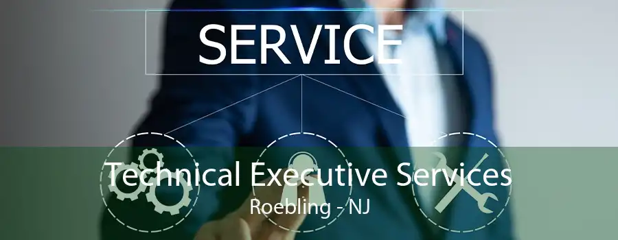 Technical Executive Services Roebling - NJ